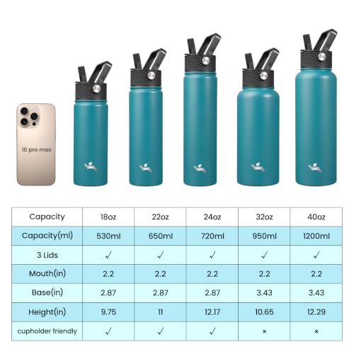 24 oz Insulated Stainless Steel Water Bottle with Straw Lid