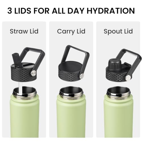 24 oz Insulated Stainless Steel Water Bottle with Straw Lid
