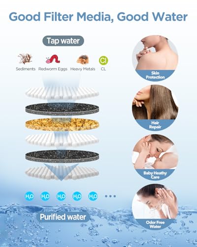 Filtered Shower Head with Handheld Combo Brushed Nickel