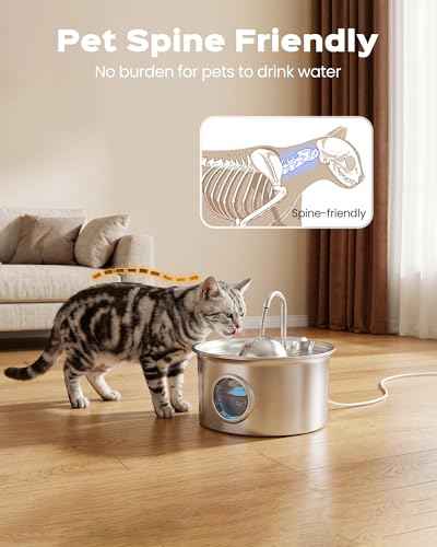 Cat Water Fountain Stainless Steel