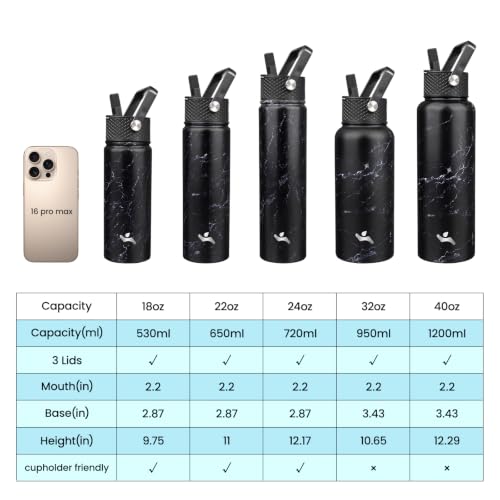 40 oz Insulated Stainless Steel Water Bottle with Straw Lid