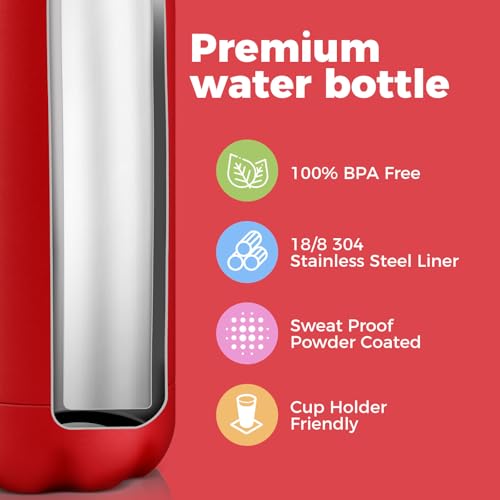 17oz Insulated Stainless Steel Water Bottle