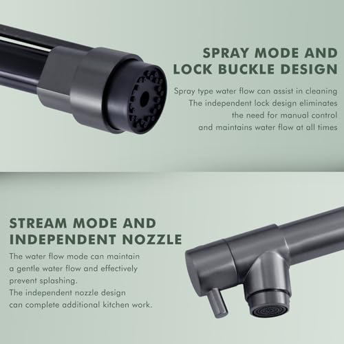 Black Stainless Kitchen Faucet with Pull Down Sprayer Dual
