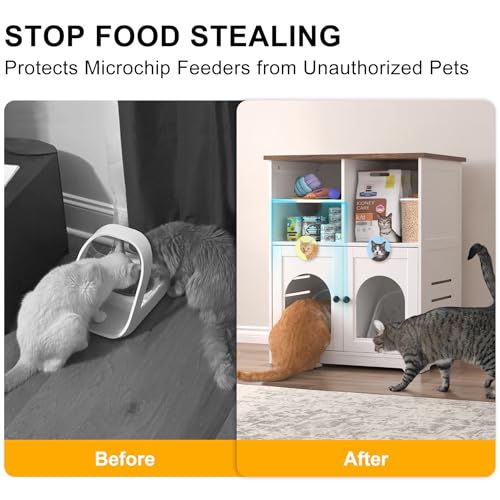 Cat Feeding Station for Microchip Feeder with Dog