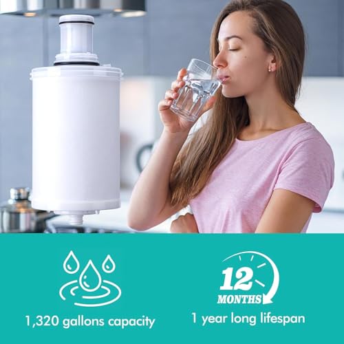 2 Pack 100186 Replacement Filter Cartridge Compatible with Amway espring Water Filter System (100186 Count)