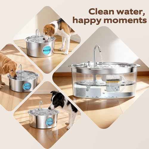 Dog Fountain Filter Replacement