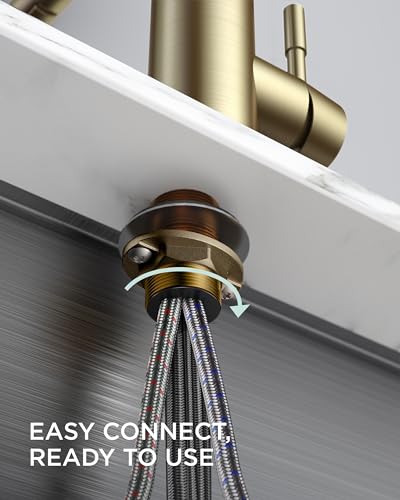 Gold Kitchen Faucet with Soap Dispenser
