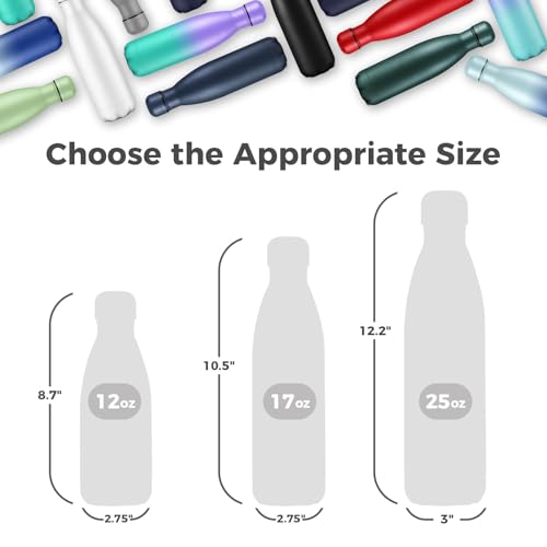 17oz Insulated Stainless Steel Water Bottle