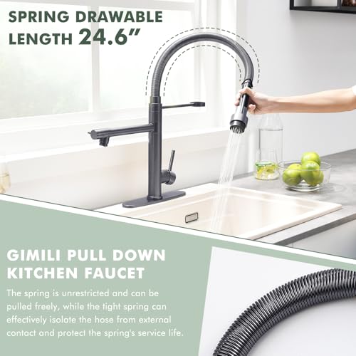 Black Stainless Kitchen Faucet with Pull Down Sprayer Dual