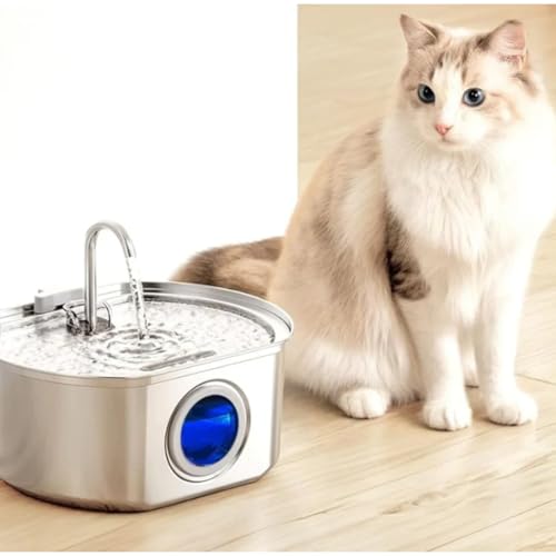 Seelene The Doggy Fountain