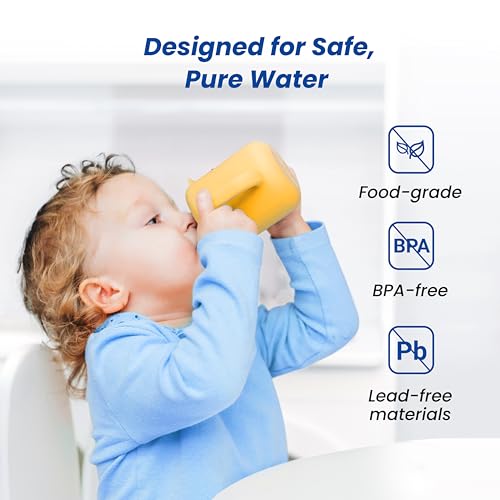 RC EZ 4 Filter Replacement for Culligan® RC (2 Count)