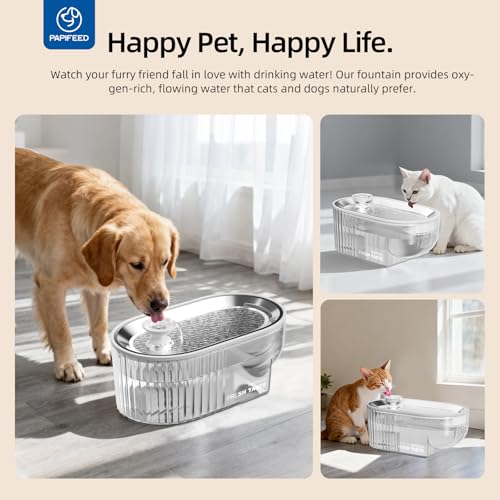 Cat Water Fountain Stainless Steel