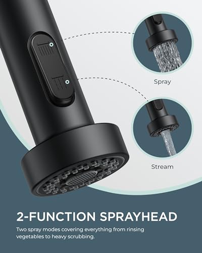 Black Kitchen Faucet with LED Light Sprayer