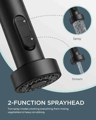 Black Kitchen Sink Faucet