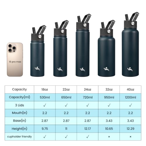 22 oz Insulated Stainless Steel Water Bottle with Straw Lid