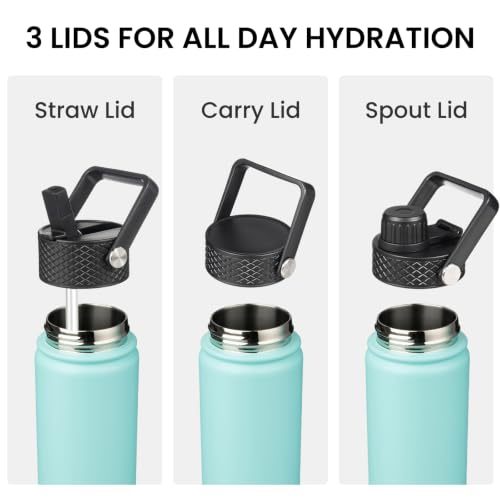 18 oz Insulated Stainless Steel Water Bottle with Straw Lid