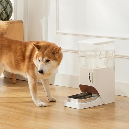 Automatic Dog Water Dispenser 11L with Stainless Steel Bowl