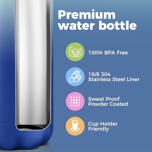 17oz Insulated Stainless Steel Water Bottle