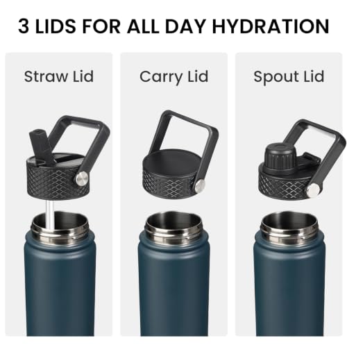 22 oz Insulated Stainless Steel Water Bottle with Straw Lid