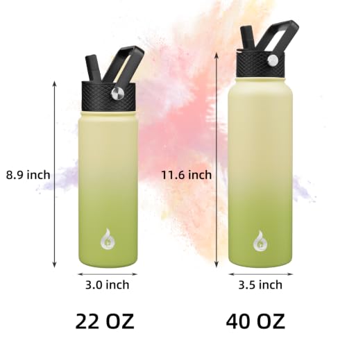 22oz Insulated Water Bottle with Straw Lid