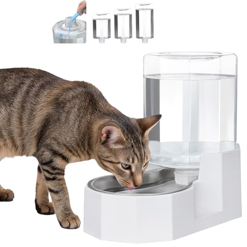 4L Stainless Steel Gravity Water Dispenser