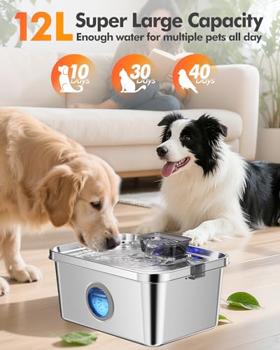 12L Dog Water Fountain