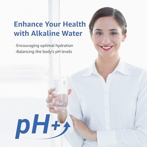 PF AL Alkaline Water Filter Replacement for Waterdrop® Pitcher (2 Count)
