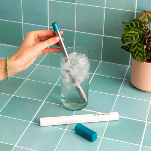 Sip Reusable Stainless Steel Water Filter Drinking Straw with 3 Carry Cases (3 Count)