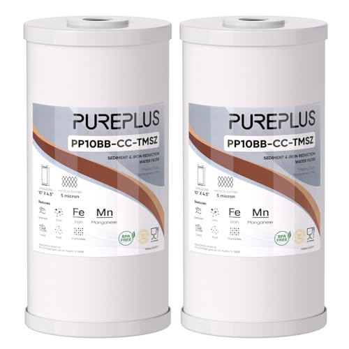10" x 4.5" Whole House Iron Reducing Sediment Filter Compound for Well (2 Count)