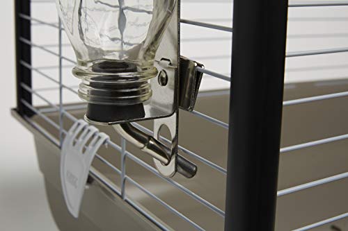 Pet Glass Water Bottle