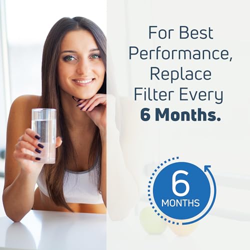 Replacement for Whirlpool 4392857 Refrigerator Water Filter