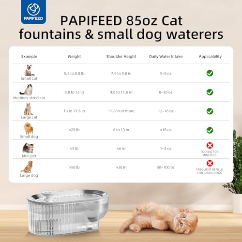 Cat Water Fountain Stainless Steel