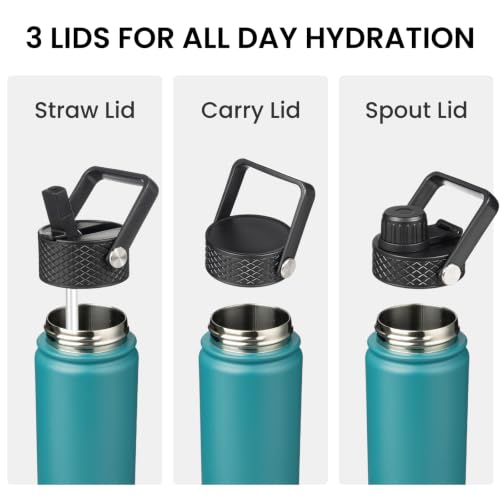 24 oz Insulated Stainless Steel Water Bottle with Straw Lid