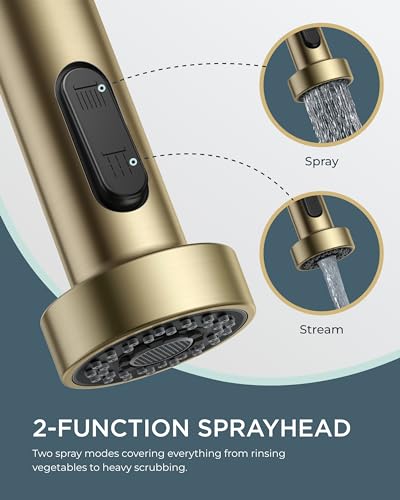 Gold Kitchen Faucet with Soap Dispenser