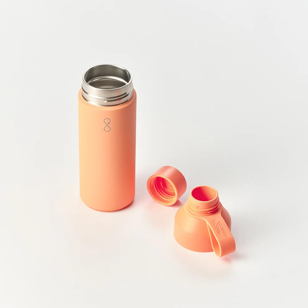 Original 17oz Stainless Steel Water Bottle
