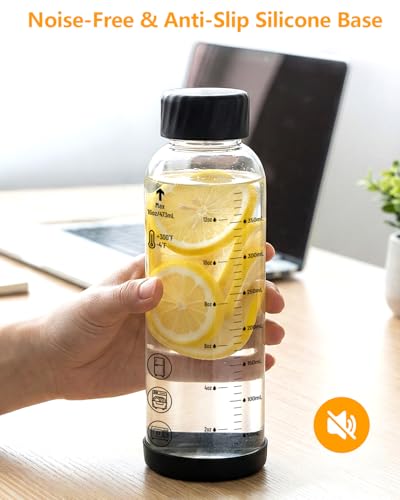 Borosilicate Glass Water Bottles with Stainless Steel Lid 20 oz (4 Count)