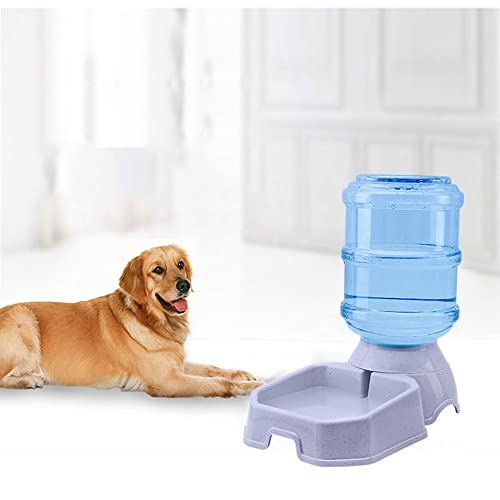 Pet Water Dispenser Station