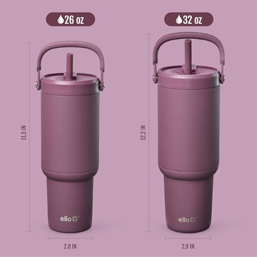 Oasis Go+ 26oz Insulated Stainless Steel Tumbler with Straw