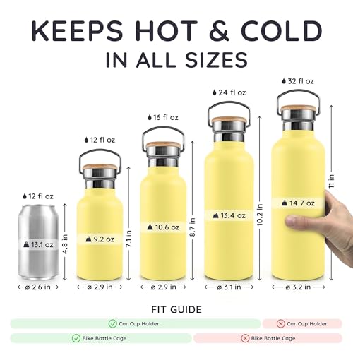 16 oz Insulated Water Bottle