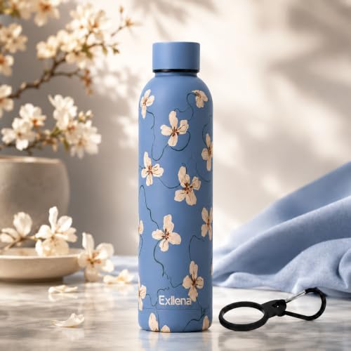 25oz Metal Water Bottle for Travel with Clip