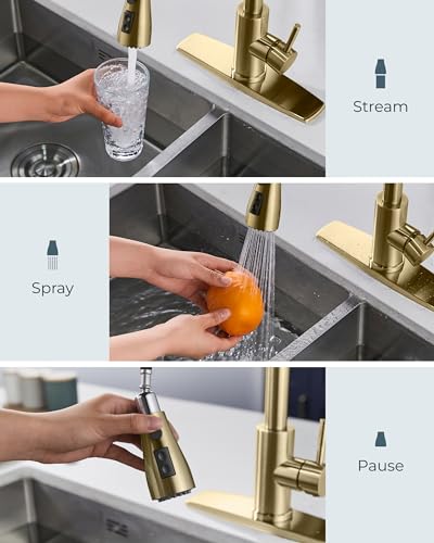 Kitchen Faucet with Soap Dispenser