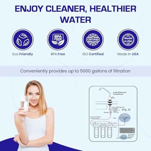 Double Under Sink Arsenic Water Filter