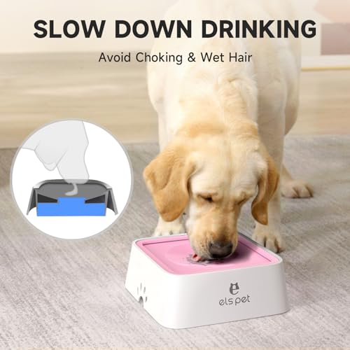 Water Bowl for Cats & Dogs 2L