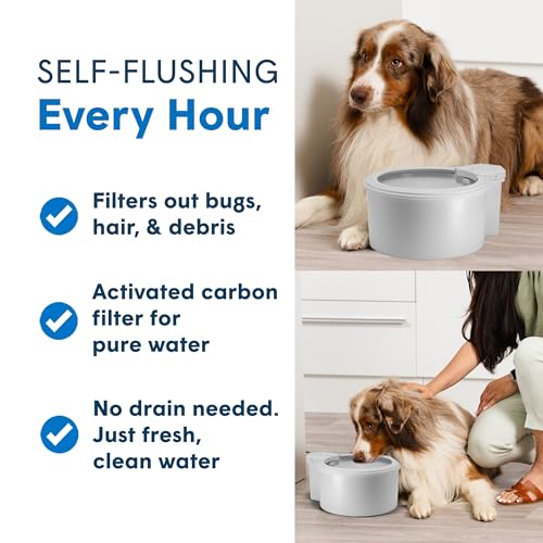9" Self Refilling Dog Water Bowl & Bottle Pump Bundle