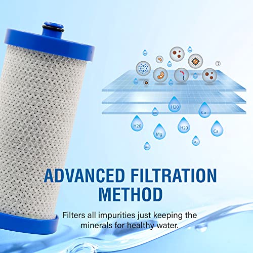 SGF WF1CB Replacement Refrigerator Water Filter for WF1CB