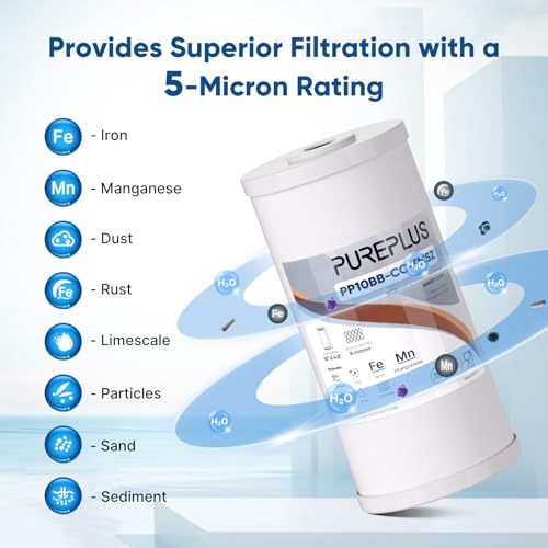 10" x 4.5" Whole House Iron Reducing Sediment Filter Compound for Well (4 Count)