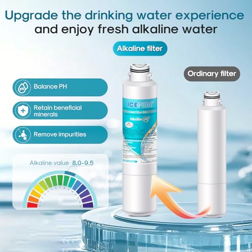 Alkaline DA29 (4 Count)