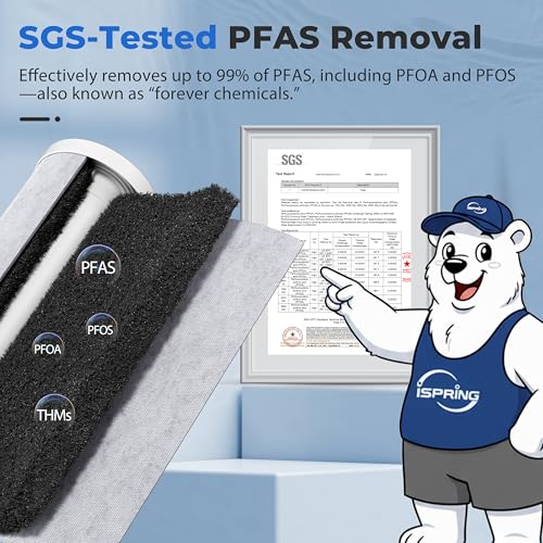 Ultimate PFAS Protection Whole House Water Filter System