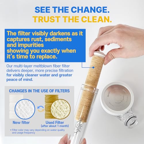 Filter Showerhead Born From Korea’s Beauty Heritage