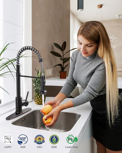 Kitchen Faucet with Pull Down Sprayer